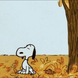 Meet your Posher, Roger